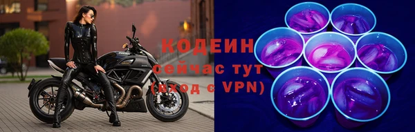индика Абинск