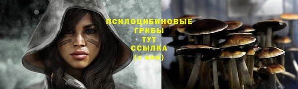 гидропоника Абдулино