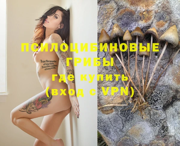 гидропоника Абдулино
